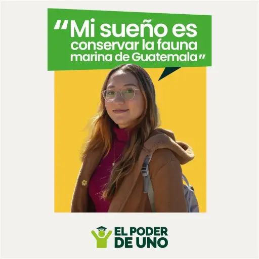 [DGDUSD-300] Donación $300